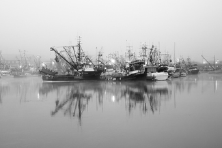 Fisherman's Terminal Fog 0161 Fisherman's Terminal Fog 0161