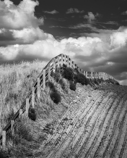 Palouse Fence Line 2929 Palouse Fence Line 2929