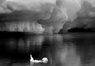 Greenland 6803 Greenland 6803