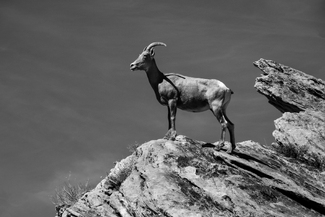Lower Monument Canyon 0599 Lower Monument Canyon 0599