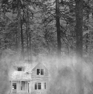 Ghost House In Fores 1 Ghost House In Fores 1