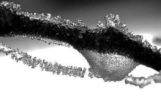 Necklace of Frost Necklace of Frost