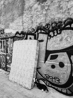 Scratching Cat Scratching Cat