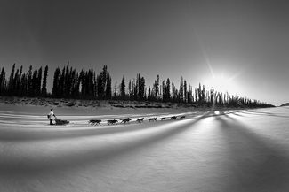 Iditarod race, minus 40, Alaska Iditarod race, minus 40, Alaska