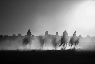 Aussie Muster