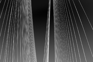 Sea Link Sea Link