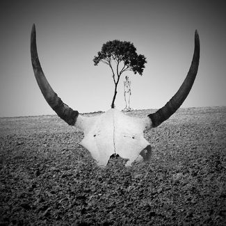 the hidden land of mancando the hidden land of mancando