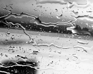 Untitled with Water Untitled with Water