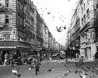 Girls and Birds Girls and Birds