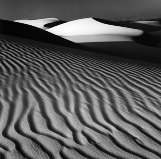 White Dune