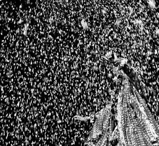 Rain of Flowers Rain of Flowers