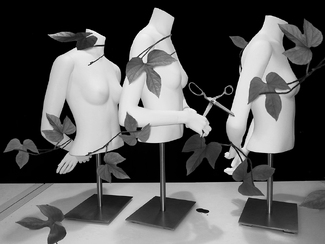 Gingher Knife Edge Dressmaker's Shears Gingher Knife Edge Dressmaker's Shears