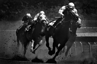 A Jockie's Life: Into the Homestretch A Jockie's Life: Into the Homestretch