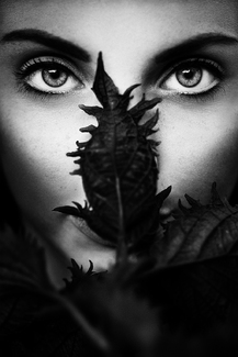 The Awakening - Laura The Awakening - Laura