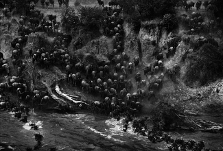Paradise Crossing #1 Paradise Crossing #1