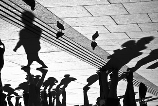 PEOPLE AND PIGEONS PEOPLE AND PIGEONS