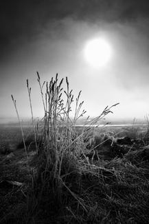 Arthurs Pass National Park Arthurs Pass National Park