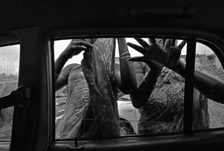 Eunuchs Camera Shy Eunuchs Camera Shy