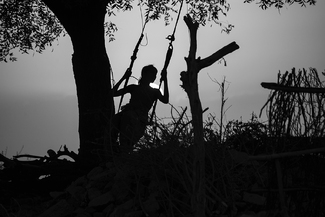 Sunset Silhouette Sunset Silhouette