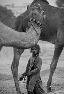 Child camel herder 