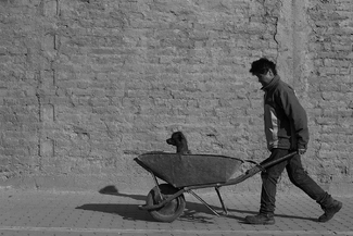 Man and dog Man and dog