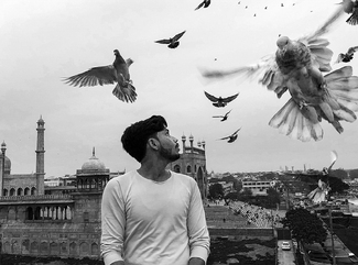 The Bird Whisperer The Bird Whisperer