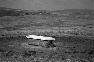 A tub and two horses A tub and two horses