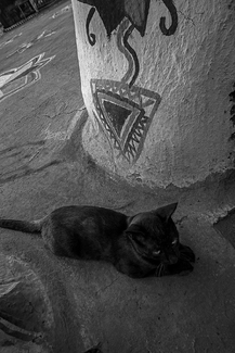 Gypsy camp Gypsy camp