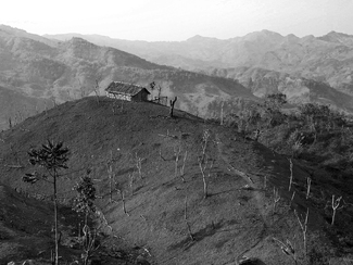 Deforestation Deforestation