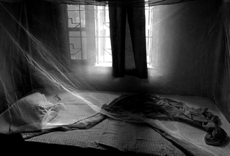 Mosquito Netting Mosquito Netting