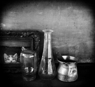 Still Life with a Cat Still Life with a Cat