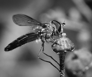 November Brunch November Brunch