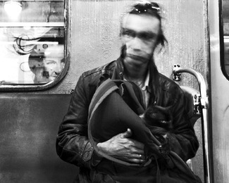 fellow traveller fellow traveller