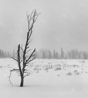 Against The Storm Against The Storm