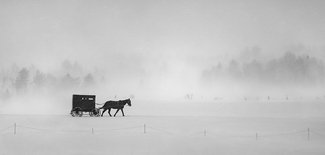 Homeward Bound Homeward Bound