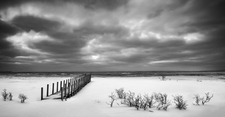 In Search Of Silence In Search Of Silence