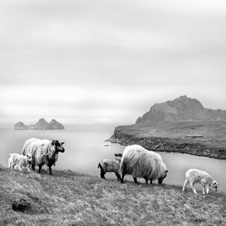 Iceland Iceland