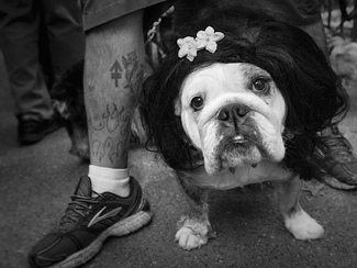 Trick or Treat Trick or Treat