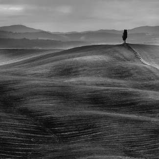 Tuscany Dunes Tuscany Dunes