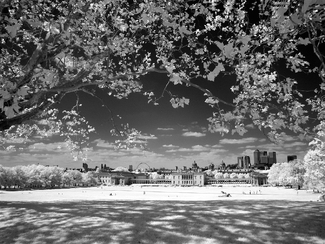 Greenwich Park Infra red 2 Greenwich Park Infra red 2