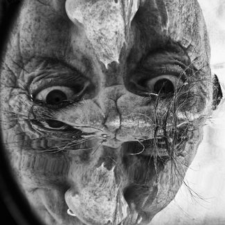 Indelicate Reflection Indelicate Reflection