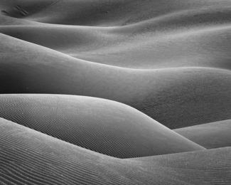 Dune Anatomy No.16