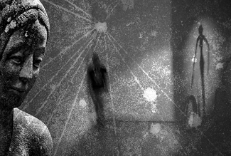 My Body Has Betrayed Me My Body Has Betrayed Me