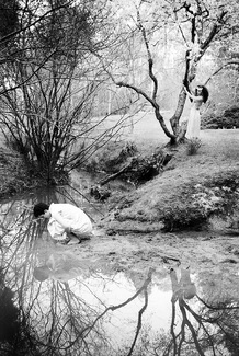 MIRROR MIRROR MIRROR MIRROR