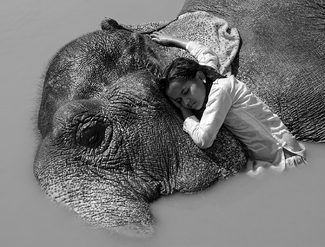 Connecting with Ganesha  Connecting with Ganesha