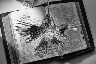 Apocalypse Apocalypse