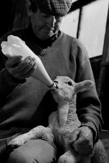 All in a day's work All in a day's work