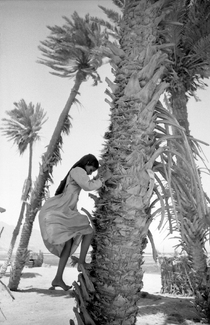 Looking For Dates Looking For Dates