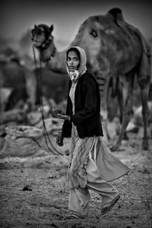 Dung Gatherer Dung Gatherer