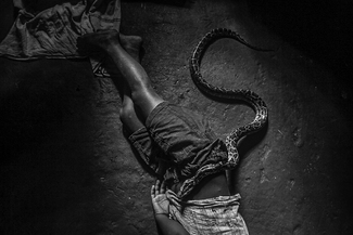 Life with snakes Life with snakes